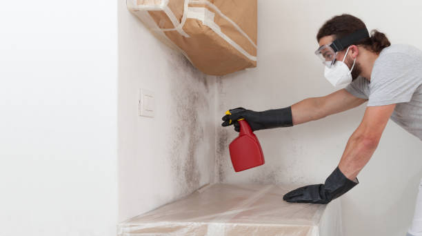 Professional Bathroom Mold Removal technician working in Lakewood, NY